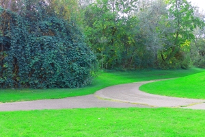 Photo of a path